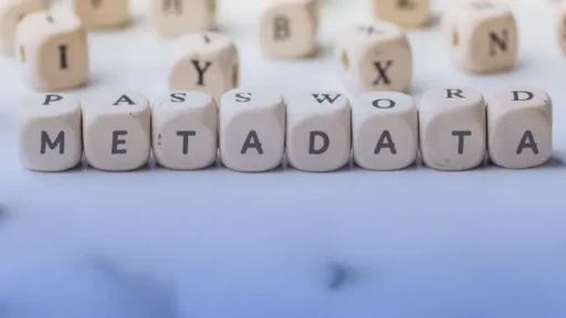 MetaData in Consent