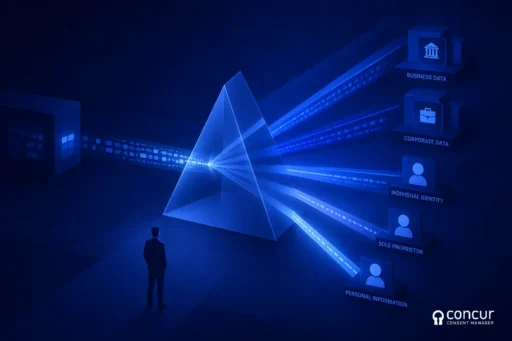 GSTIN Personal Data DPDPA