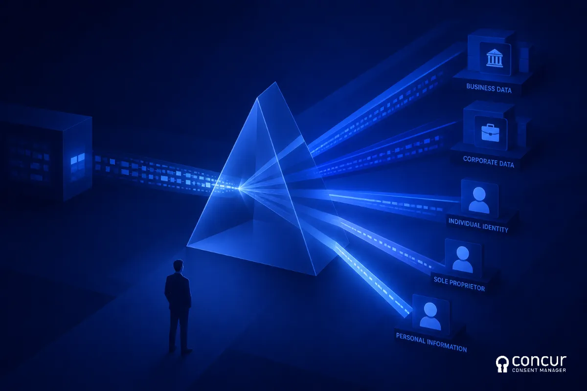 GSTIN Personal Data DPDPA